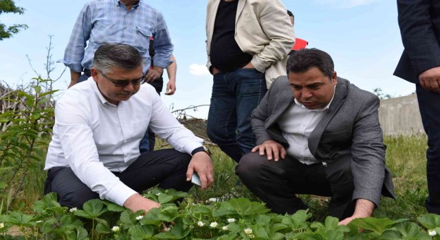 Organik köy, çok yakında Balıkesirde