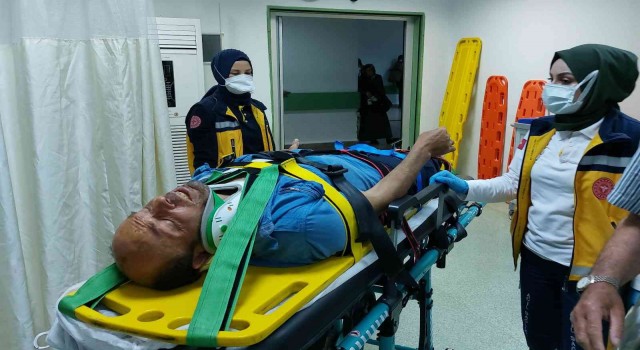Ormanda kestiği ağaç üzerine düşen şahıs ölümden döndü