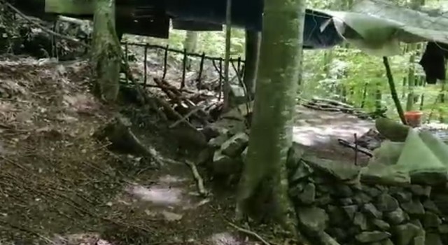 Ormanlık alanda kaçak kazı yapan şahıs jandarmaya yakalandı