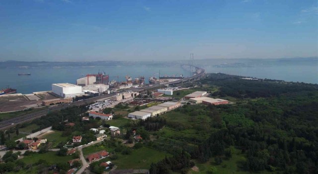 Osmangazi Köprüsüne verilen kavis “Kuş Otelini” korudu