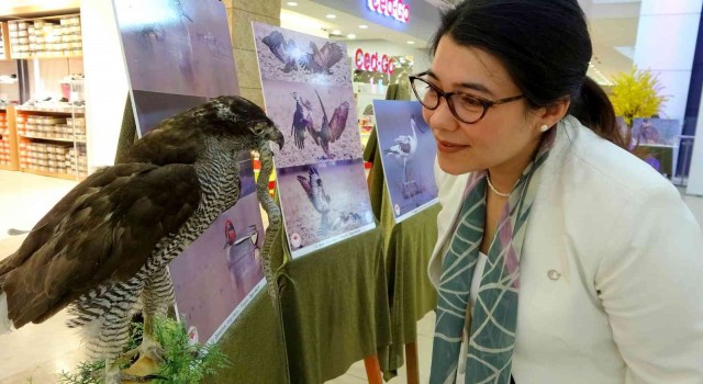 Osmaniyede ‘Göçler Güç Olmasın fotoğraf sergisi