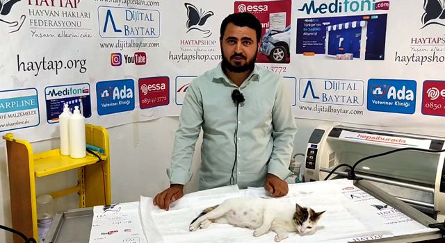 Osmaniye'de Kediye sezaryenle doğum gerçekleştirildi