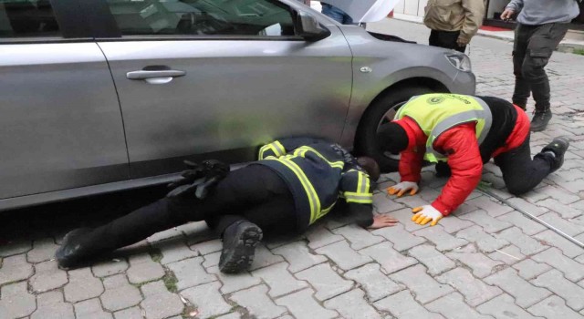 Otomobilin altına giren kediyi itfaiye kurtardı