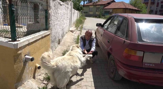 Otomobilini o halde görünce güvenlik kamerasını inceledi, karşılaştığı manzarayla şoke oldu