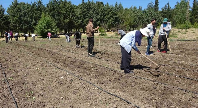 (Özel) Kapıdaki gıda krizi için çözüm üretimden geçiyor