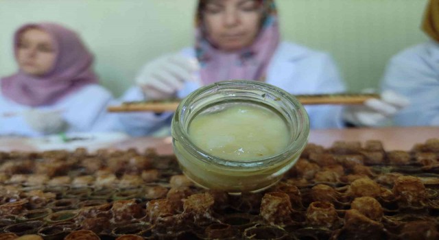 (Özel) Kilosu 10 bin liradan satılıyor...Siparişlere yetişemiyor