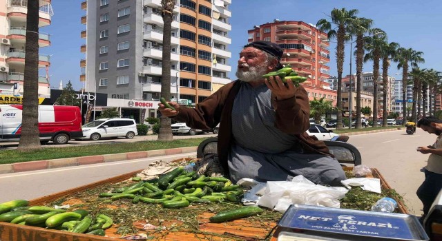 Parası olmayana bedava... Hem hayat dersi verdi hem ucuza salatalık sattı