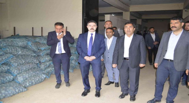 Pasinlerde 75 ton patates tohumu dağıtıldı