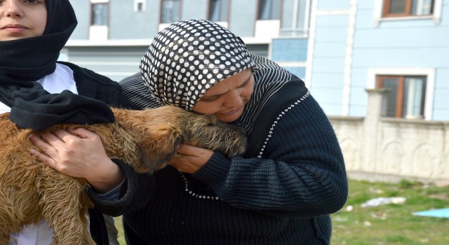 Sakaryada köpeği ile sahibinin öldürülmekle tehdit edildiği iddiası