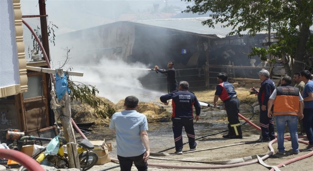 Samanlar tutuştu, mahallede panik yaşandı