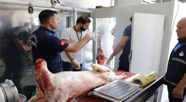 Şanlıurfada 1 ton 250 kilo bozuk et ele geçirildi