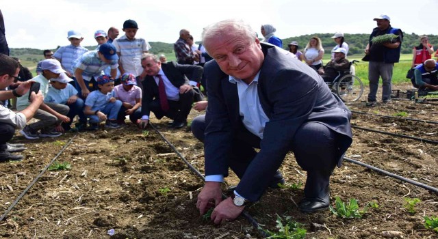Sebze Yetiştiriciliği Kursunda fide ve tohumlar toprakla buluştu