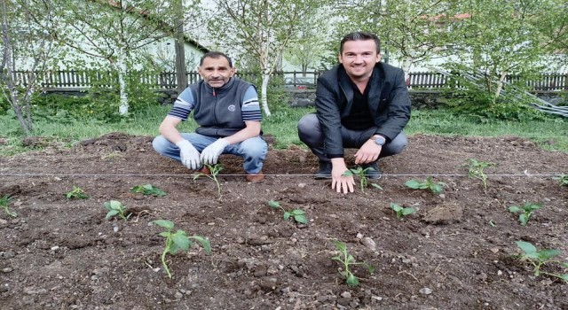 Selimde kurulan seraya ilk fide dikildi