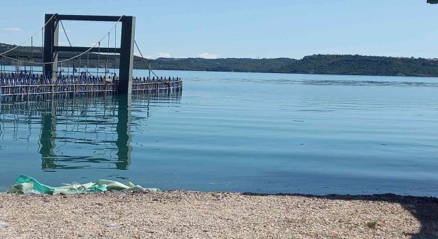 Seyhan Baraj Gölünde su seviyesi arttı