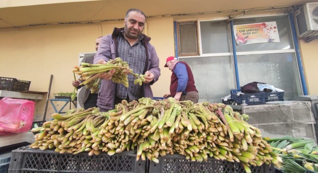 Şifa deposu ‘ışkın tezgahlardaki yerini aldı