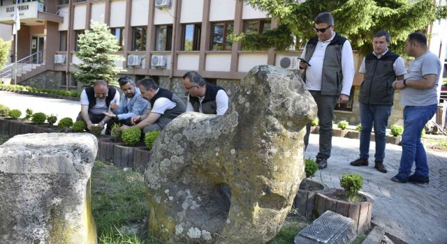 Şimşir güvesi zararlısıyla mücadelede biyolojik çalışmalar sürüyor