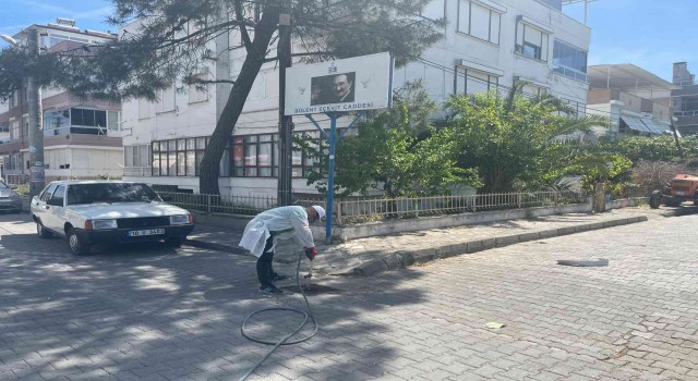 Sineksiz bir Edremit için çalışılıyor