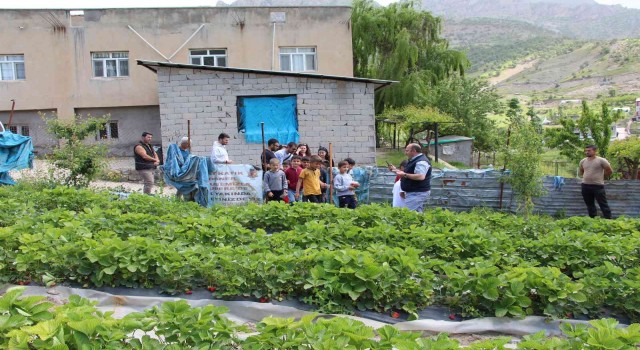 Şırnakta faaliyete giren projelerle ailelerin ekonomisine katkı sağlanıyor