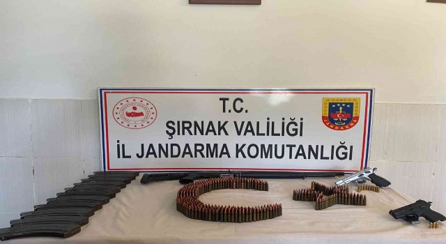Şırnakta kaçakçılık ve asayiş operasyonu: 49 gözaltı