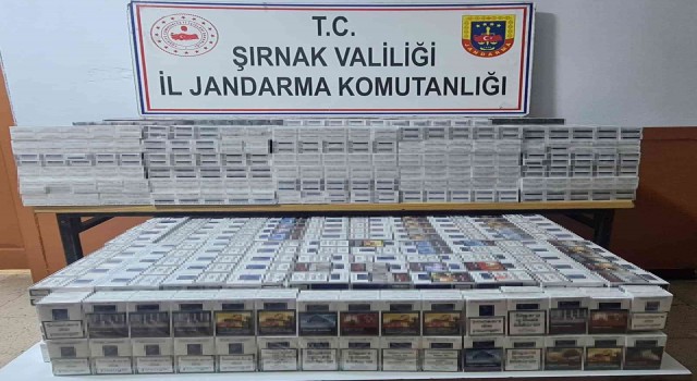 Şırnakta terörün finans kaynaklarına operasyon: 61 gözaltı