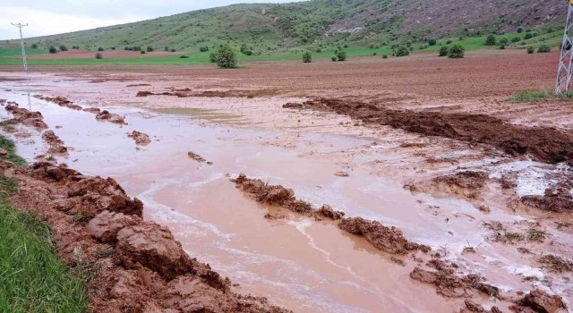 Sivasta etkili olan dolu tarım arazilerine zarar verdi