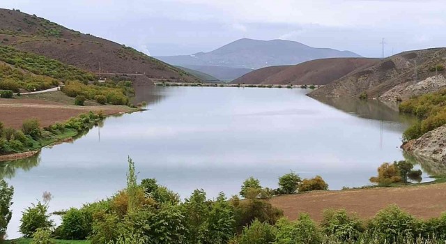 Tamamen kuruyan gölet, yeniden hayat buldu