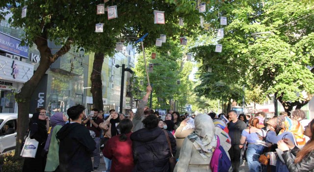 Tarihi çınar ağaçlarından kitap topladılar