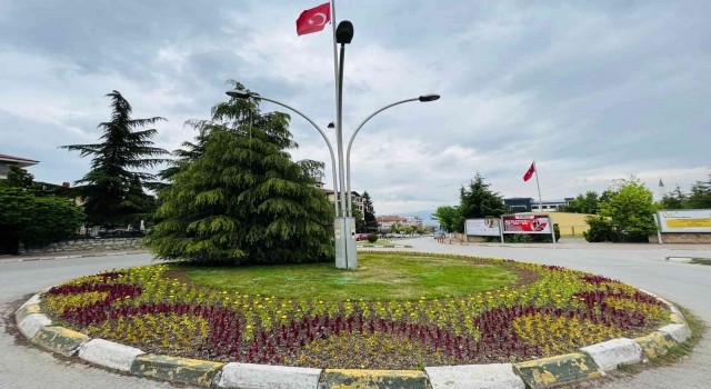 Tarihi ilçe Safranbolu, serada yetiştirilen çiçeklerle renklendi