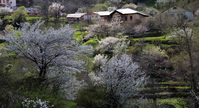 Tarihi mahalle bahar renklerine büründü, görsel şölen oluştu