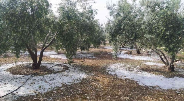 Tarsusta dolu ve fırtına etkili oldu