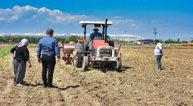 Tarsusta soya fasulyesi ekimi yapıldı