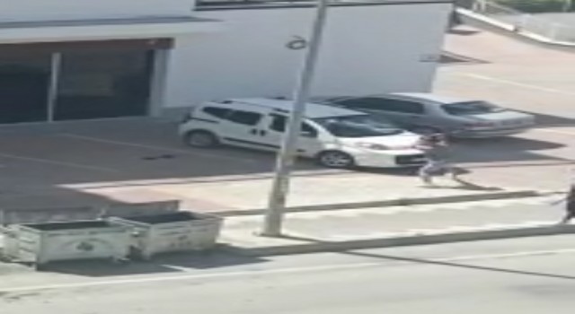 Tartıştığı iş yeri sahibinin arabasını sopa ile paramparça etti