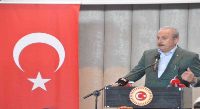 TBMM Başkanı Şentop: Göç küresel bir sorun ve biz bunun başlangıç aşamalarındayız”