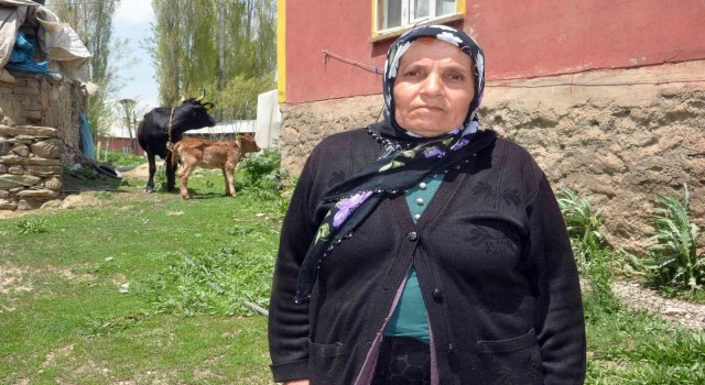 Tek geçim kaynağı olan ineği ölen kadına bakanlıktan sürpriz