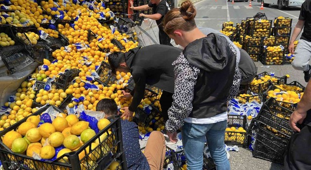 Tırdan yola onlarca kasa limon savruldu, sürücünün yardımına vatandaşlar koştu