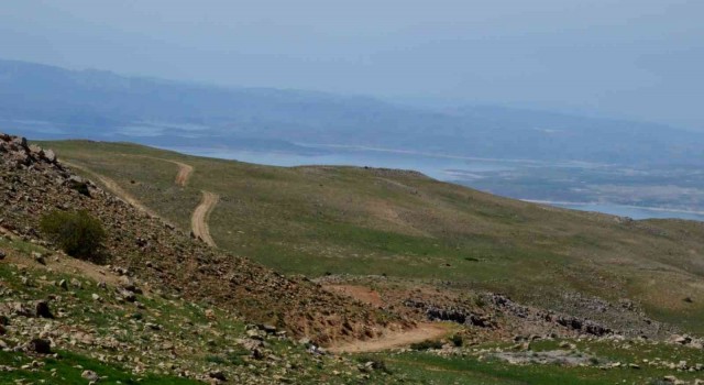Tuncelide mera otlatma 15 Haziranda başlıyor