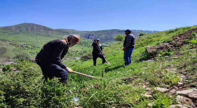 Tuncelide meyve fidanları toprakla buluştu