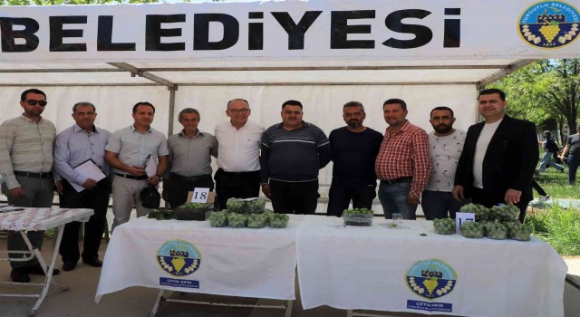 Turgutluda ‘En Güzel Erik Yarışması düzenlendi