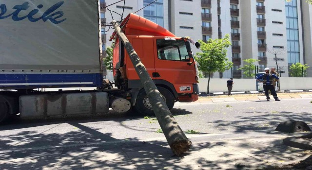 Ümraniyede tır, elektrik direklerini ve bir ağacı devirdi