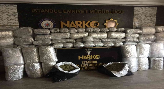 Uyuşturucu deposuna baskın: 250 kiloya yakın Hint keneviri ele geçirildi