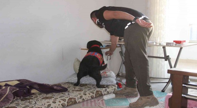 Uyuşturucu satıcılarına şafak operasyonu: 18 gözaltı