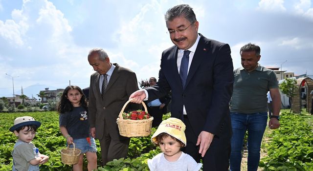 Vali Yılmaz, çocuklarla çilek topladı
