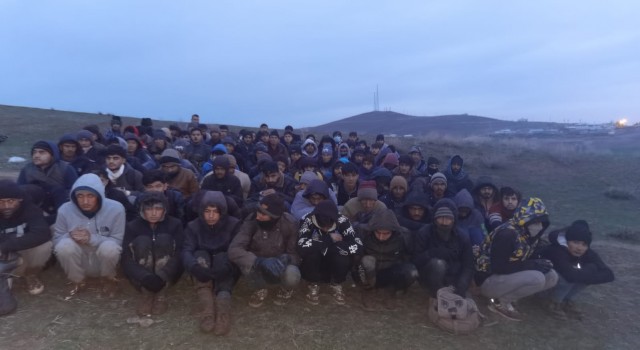 Vanda 101 düzensiz göçmen yakalandı