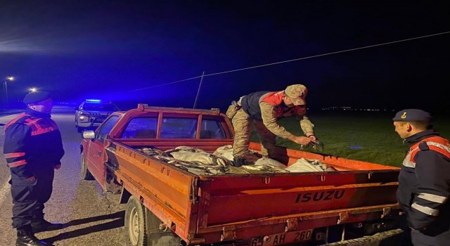 Vanda kaçak avlanan 1 ton inci kefali ele geçirildi