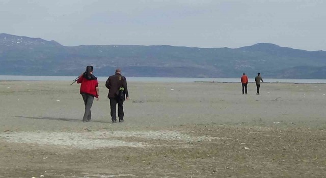 Vanda nesli tehlike altında olan kuş sayımı başladı