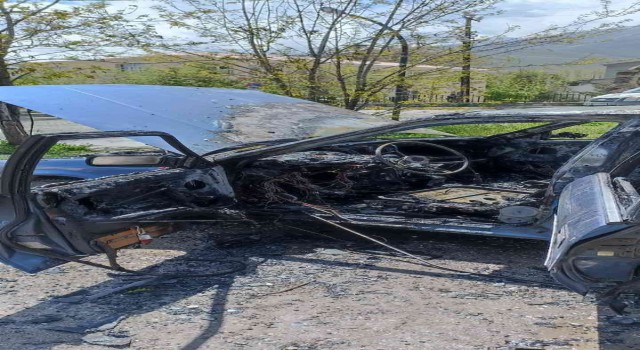 Vanda park halindeki otomobil alev alev yandı