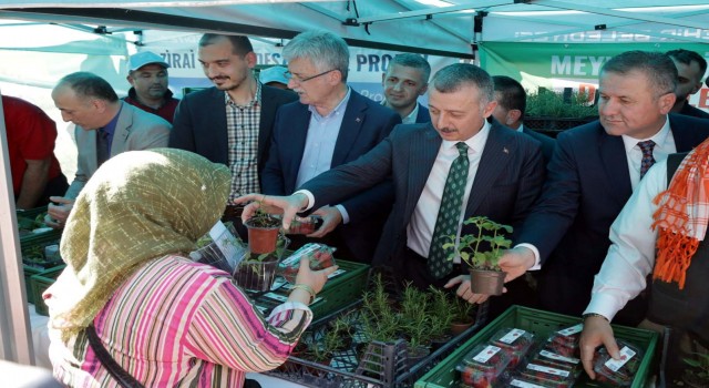 Vatandaşa 82 bin fide dağıtıldı