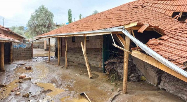 Yağış nedeniyle mandıralar çöktü, hayvanlar telef oldu