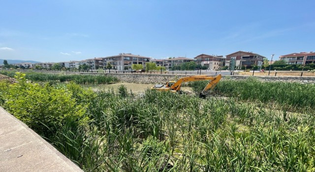 Yalova Belediyesinden Safran Deresinde temizlik çalışması
