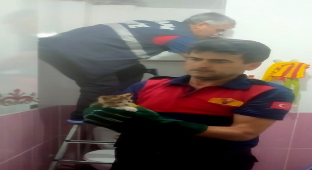 Yavru kediyi itfaiye kurtardı